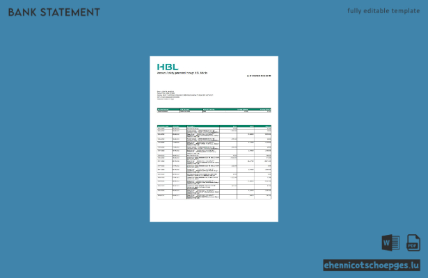 Beispiel eines Kontoauszugs der pakistanischen HBL-Bank (Vorschau)